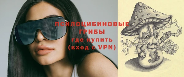 дмт Алексеевка