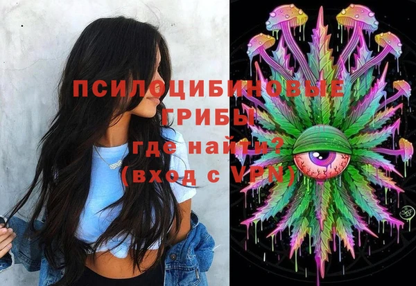 дмт Алексеевка