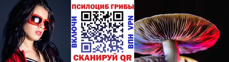 Галлюциногенные грибы Psilocybe  Саров 